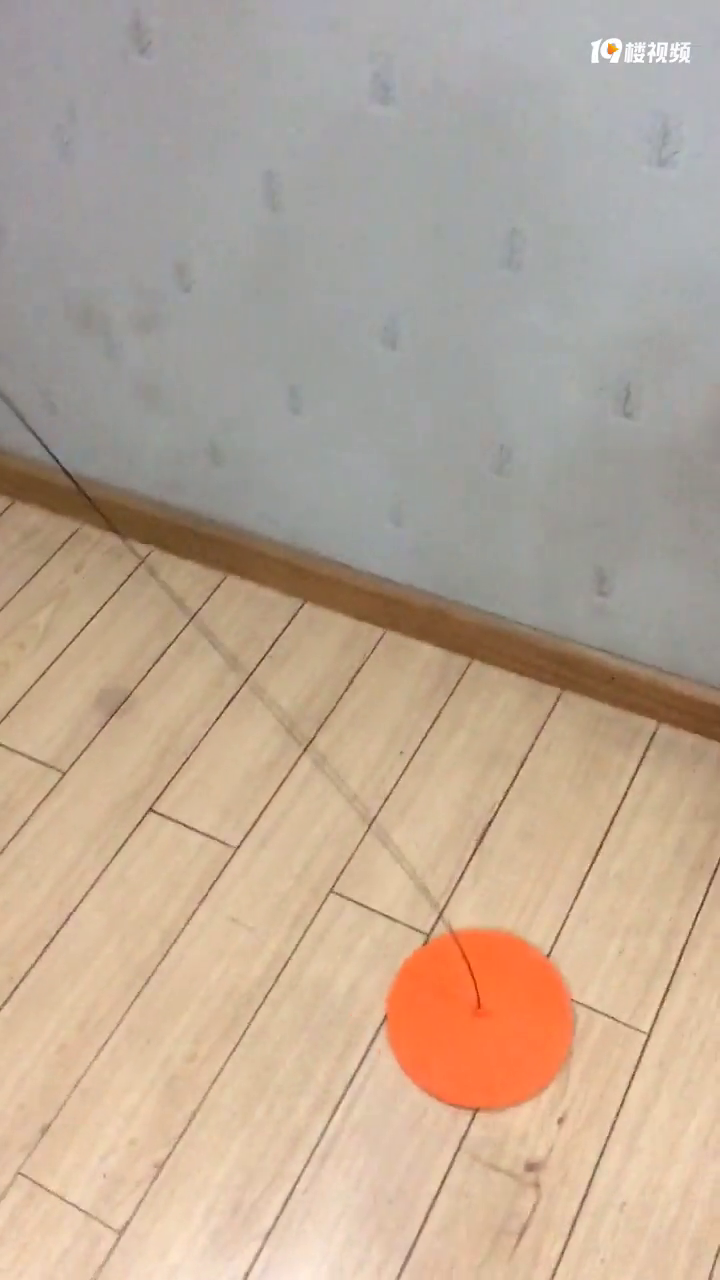 ˸wanghong˵ܰСѷӡЭ˫