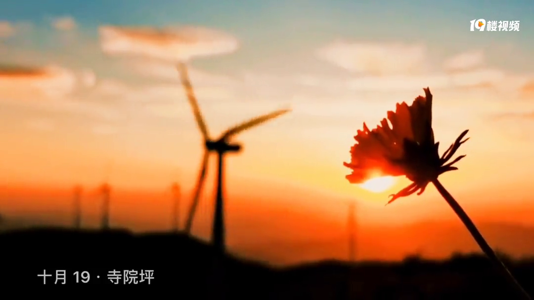 ��¡��Ժƺ��ĩ������