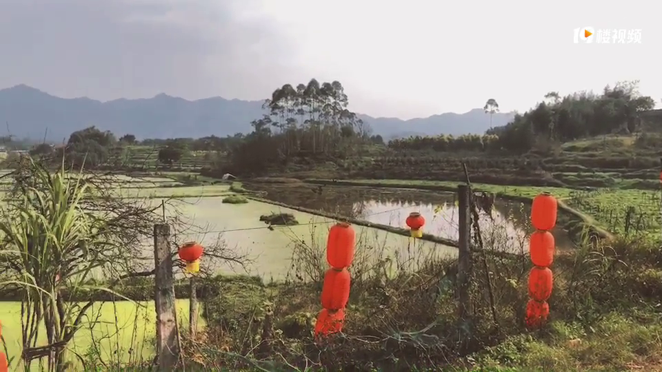 ڼҷùˣһȺˣˣȥũɨû