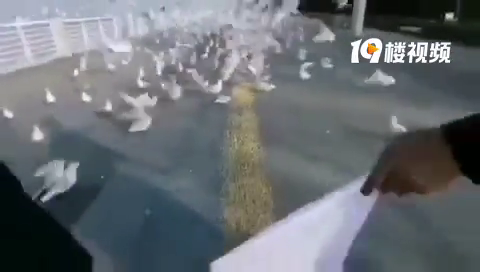 ��صĺ�Ÿ�����ˣ���ô����û��ιʳ���أ�