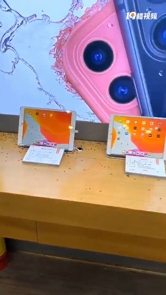 �ֵ�����ˮ����Ű�ļ��ڣ����Ǽ��ﱻ��Ϯ��������