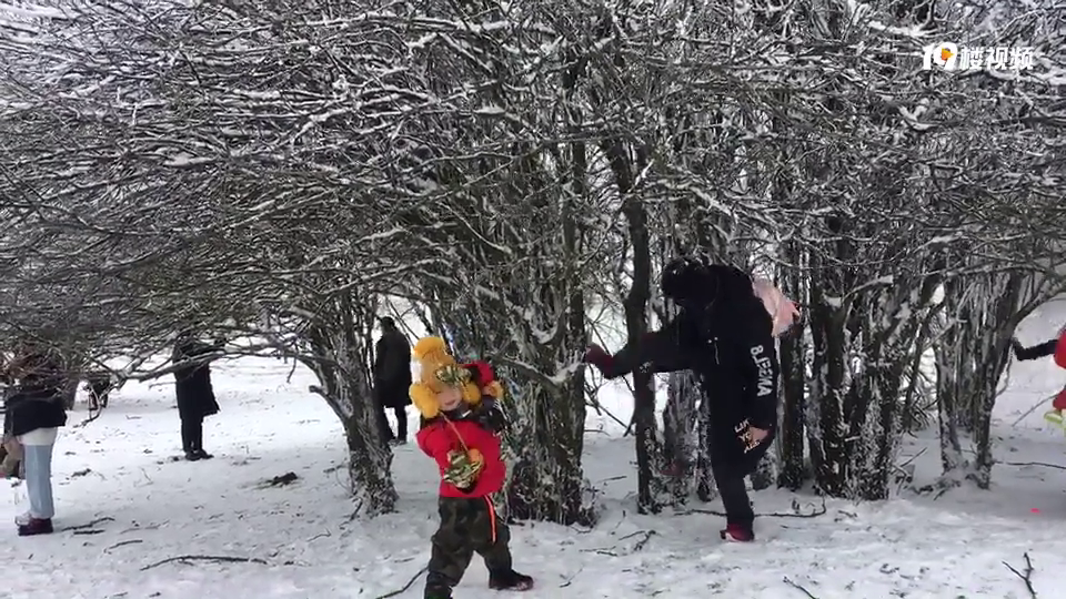 去年元旦仙女山积雪了,今年会下吗