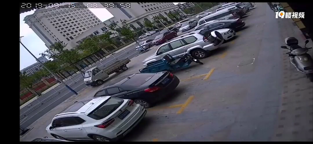嘉兴有人光天化日偷包?我们已经报警了 你快来自首!