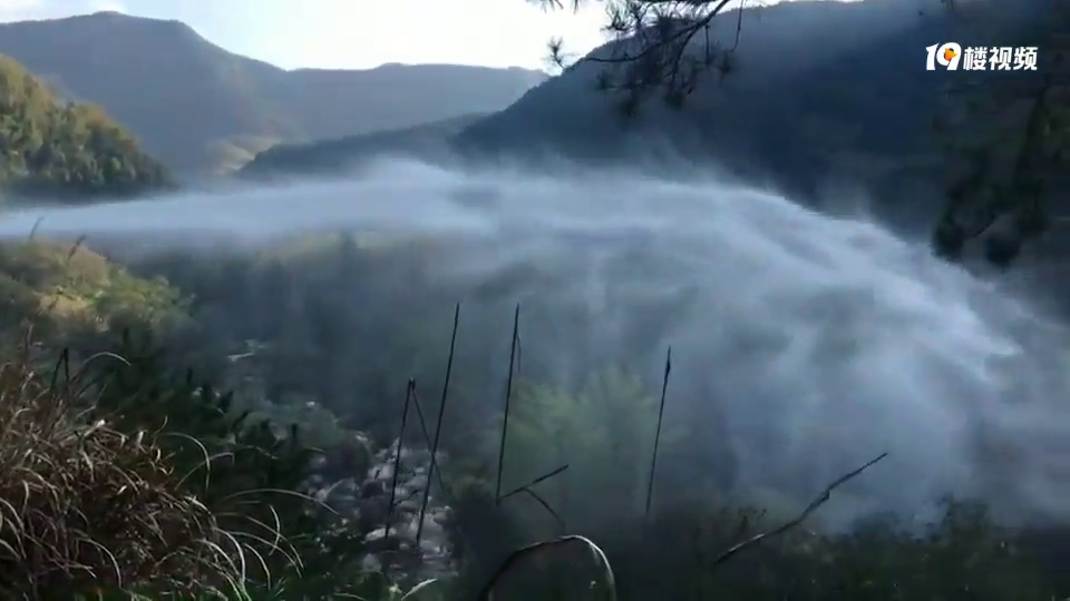 黄岩某山头发生一起山火,消防队员在现场灭火!
