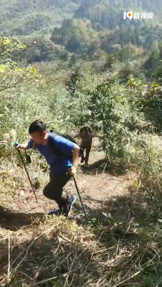 ���մ̼�����ƽ