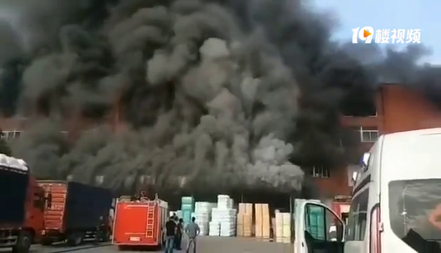 ����ĳëƤ��ͻ����� ������Ƶֱ��������յ��ü������ˡ�