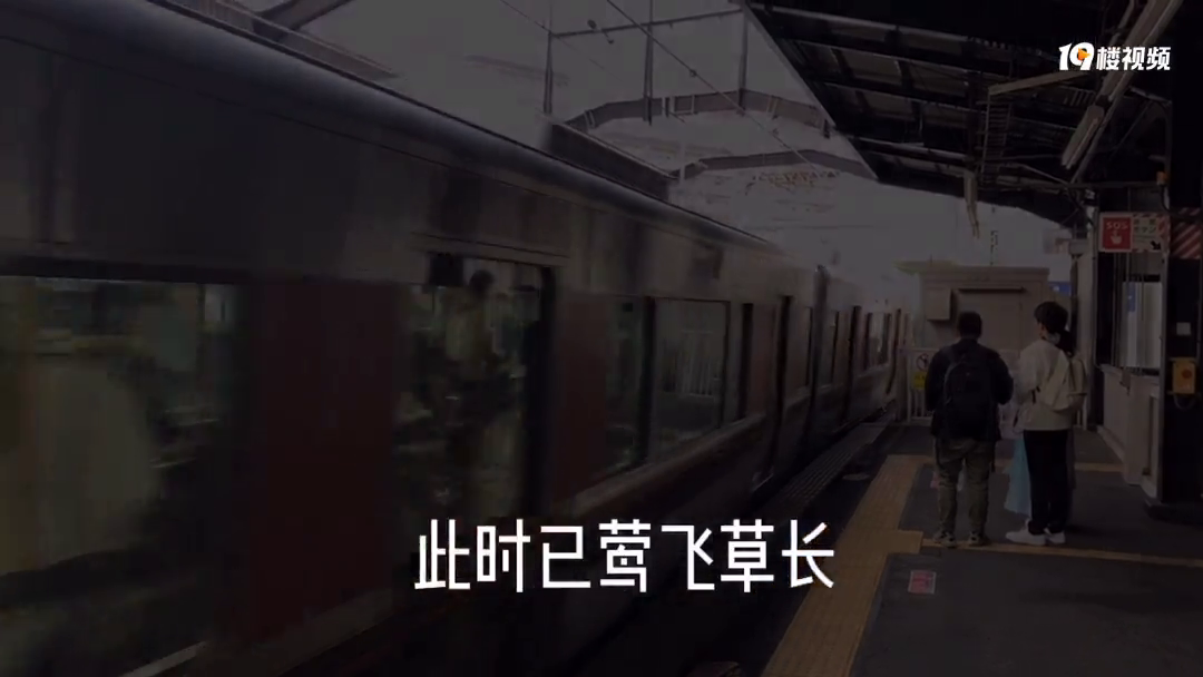 ���桢����vlog