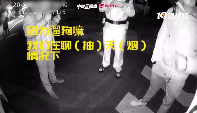 杭州兩狗發生關系狗主人索要打胎費?!