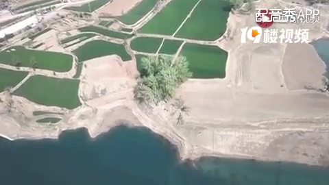 88��155CM�ĵ����������飬�޶��ְָ���С����һ�з���