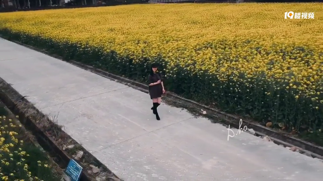 满目金黄香百里,一方春色醉千山