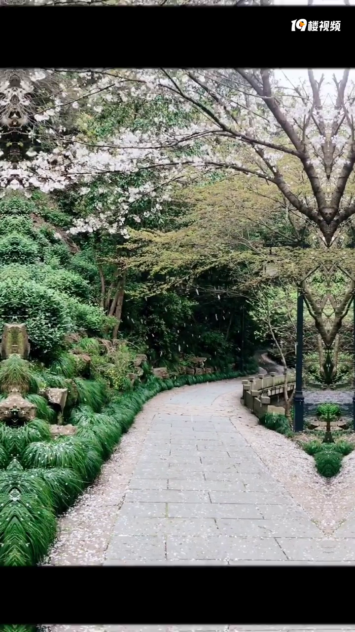 最喜欢杭州的这个地方,不仅静谧而且一年四季都有风景!