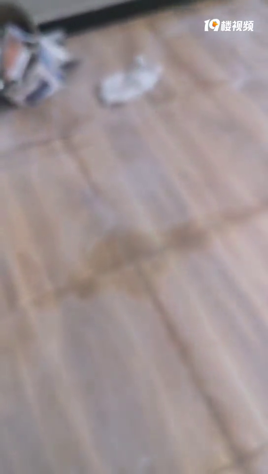 ¶̨שˮ࣬Ҳԭô죿