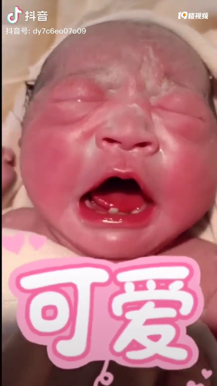 ճޣͳݣɿĿźÿֲоҪ