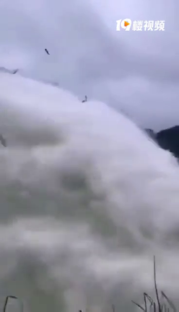 �°���ˮ��й�Ĳ��Ǻ飬����ũ��ɽȪ��ǧ������ͷ����