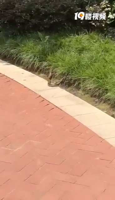 ���ϸ��·�����֮���ڻ�뵺�ַ��������ˡ���