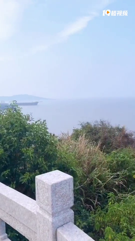 �����������̩����