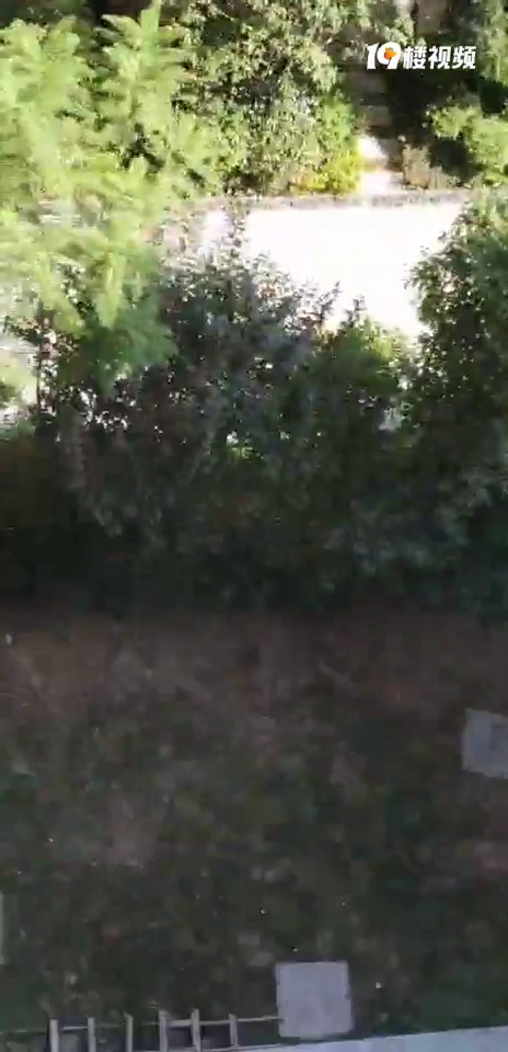 邻居装修灰嫩个大,是不是过分了?