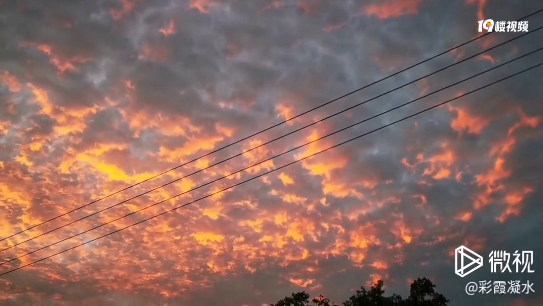 ���������Ļ�����