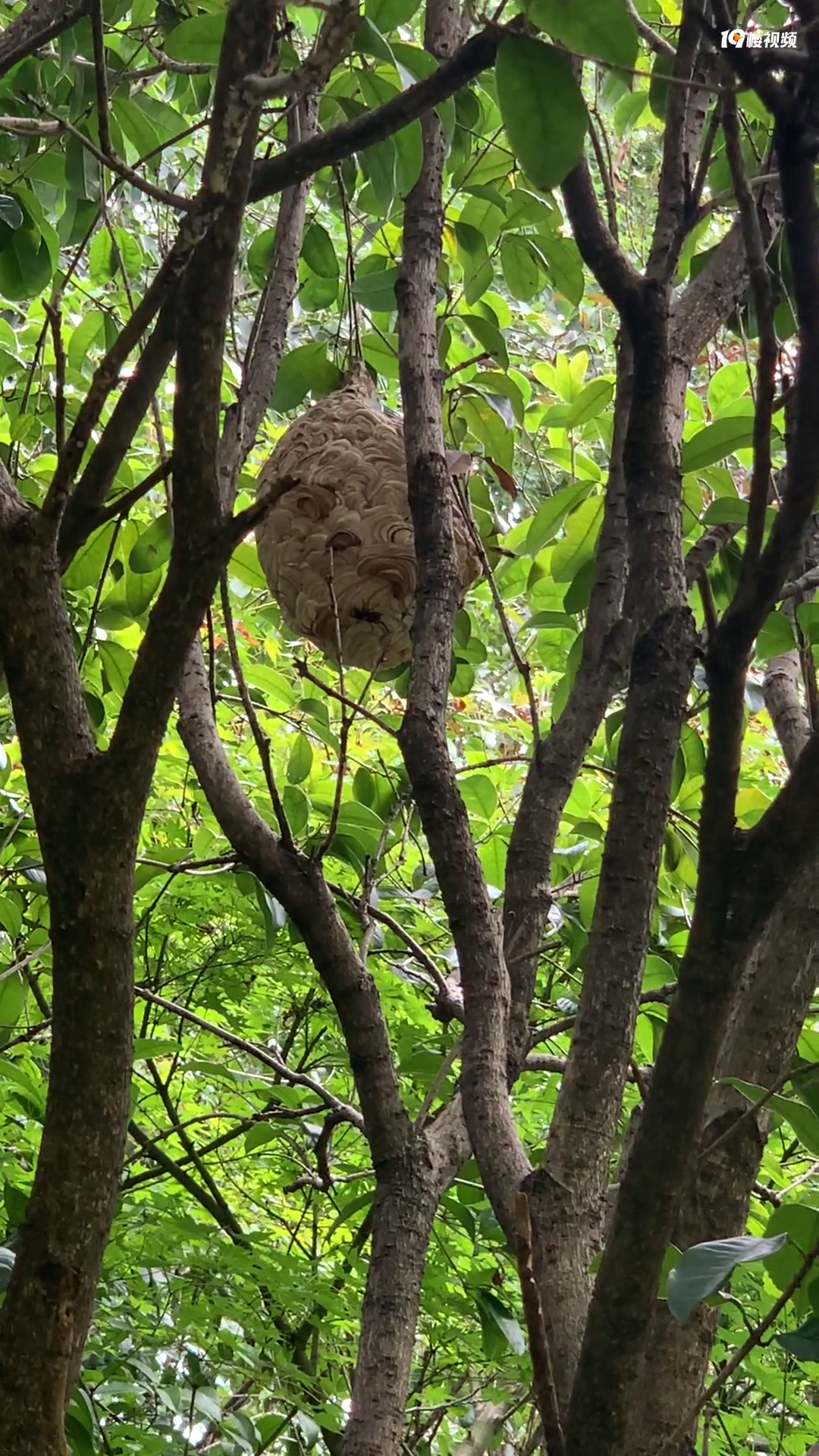 ·�űܷ�����԰�����������ѣ�����Խ��Խ����