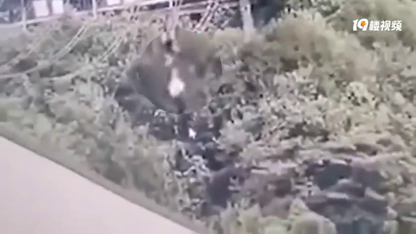 旅游局回应奥陶纪景区女子高空索道坠落,该女子经抢救无效死亡