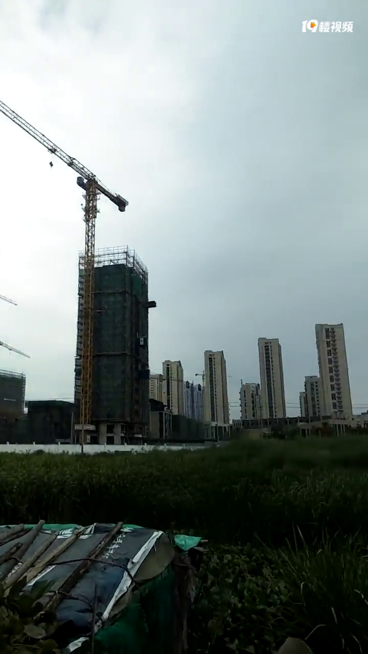 ���ױ��Ա߾������³´�