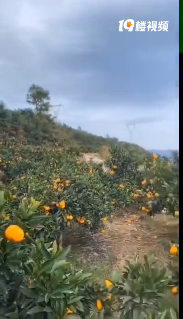 ����һ����＾