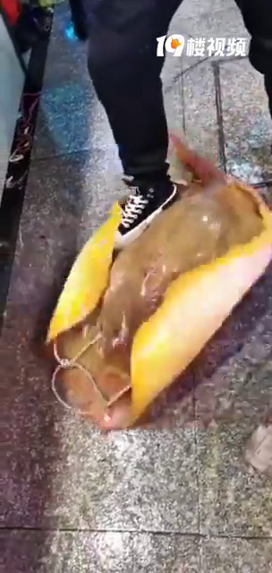 �������Դ����������ֵֹĴ��㣬̨�ݻ���ʲô��