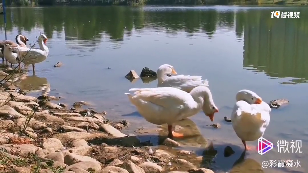 �ͺϹ�԰����ʰ�쵵���