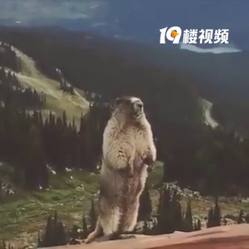 ����ǰ�Ѹ�����90�������Ҷ��� ���˷�Χ�ڵ�����������֨һ��