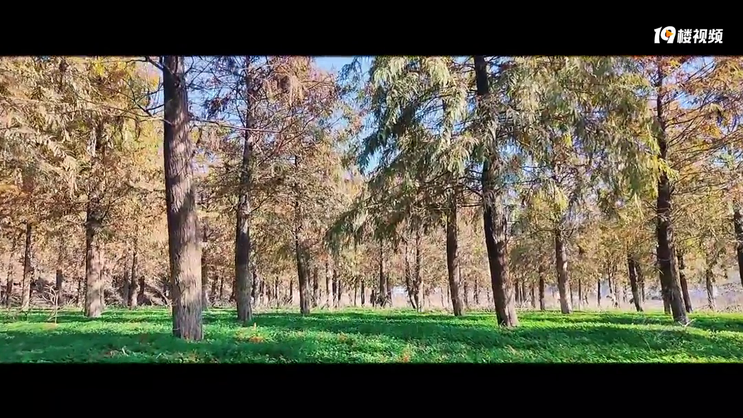 �����ψ��������