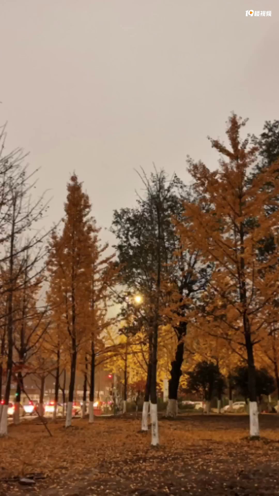 ��������· ���겻����Ļ���һ����