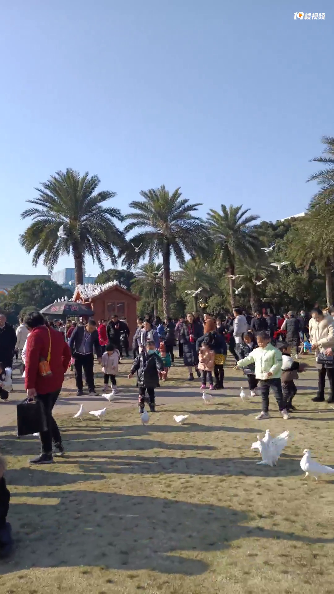 ���۸��᡿���껹������