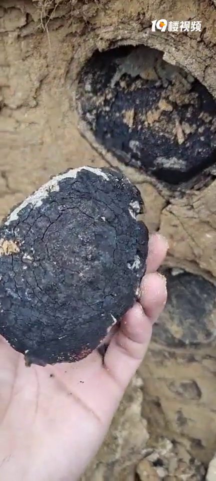 �����ǻ�ʯ��