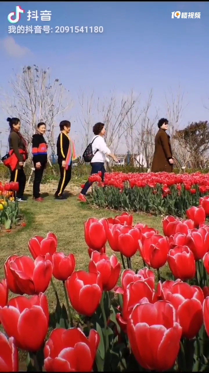 �ʻ�ʢ���Ĵ�ׯ��ȥ�³��ʻ��ۿ�������԰�Ĵ�ɫ