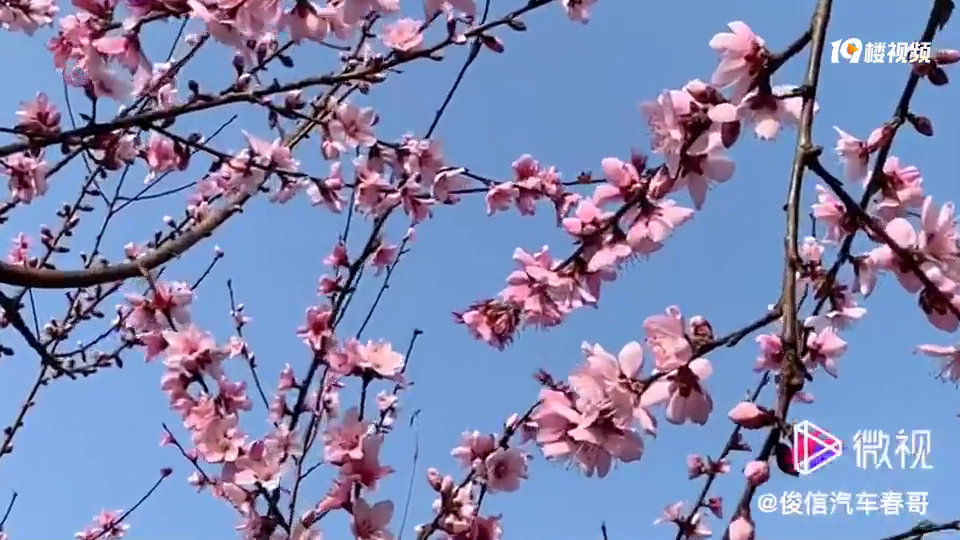 �����������жȼ�ʤ�أ�ƽ���磡