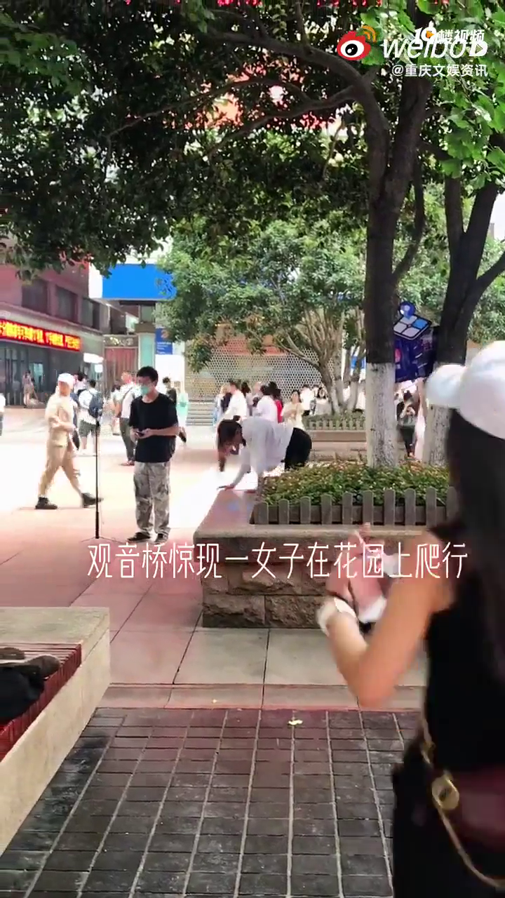 重庆观音桥一女子在花台上爬行?!