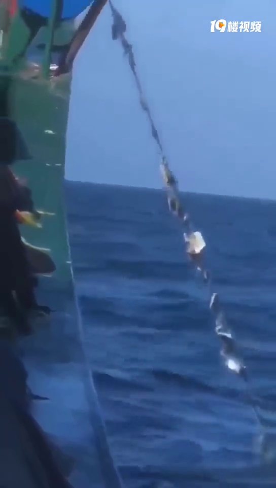 �߸�����֪��ԭ����з����������������