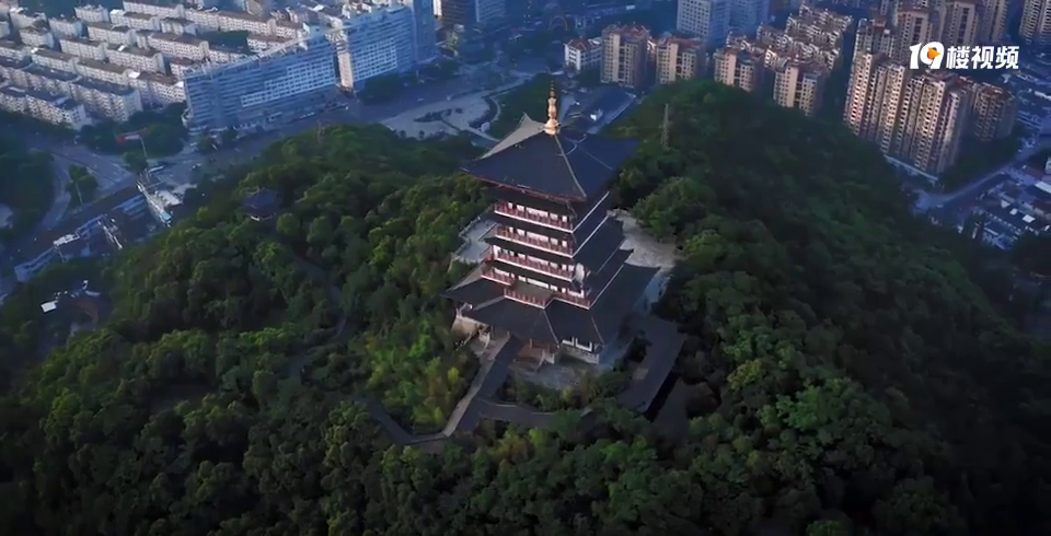 ̨��֮о��������