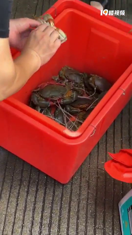 �������ӵ���з��40��һ��ñ��˰�