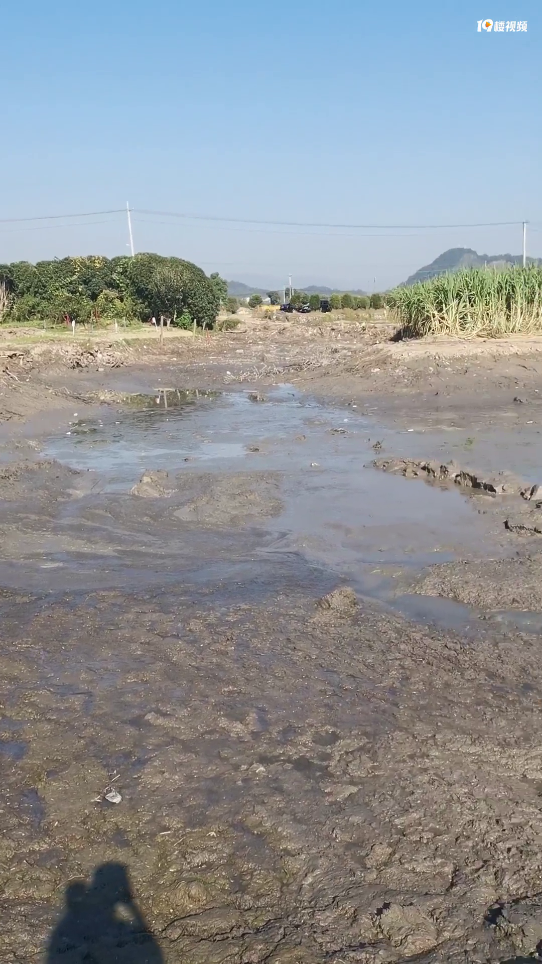 ʮĶ�������ɺ�Ȼû�㣬������˶�����