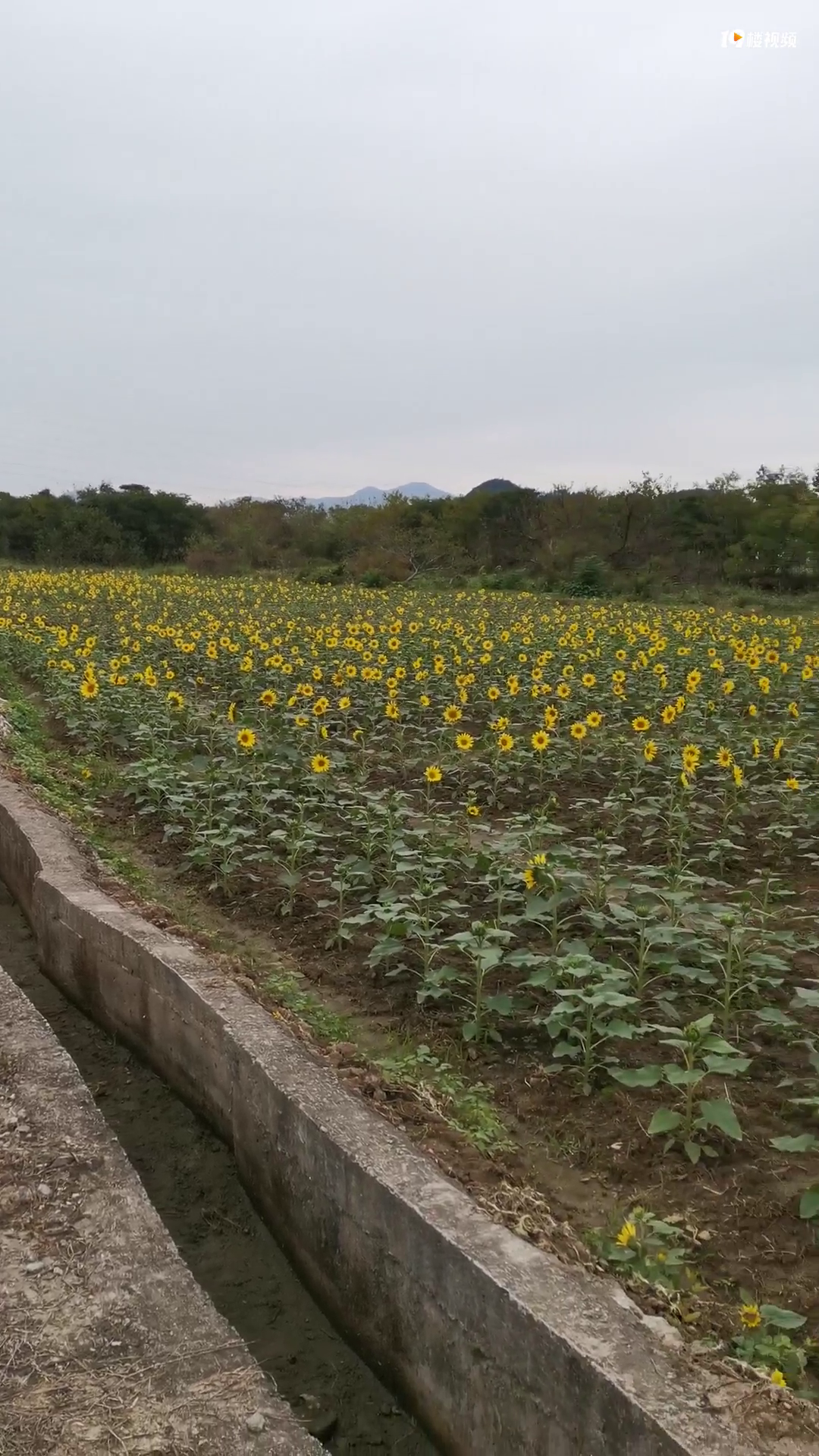 �������ĳ�ؿ��̫�������ˣ��������