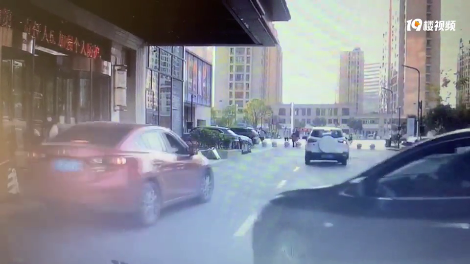 ��ɫ���Դ��̳��������в��