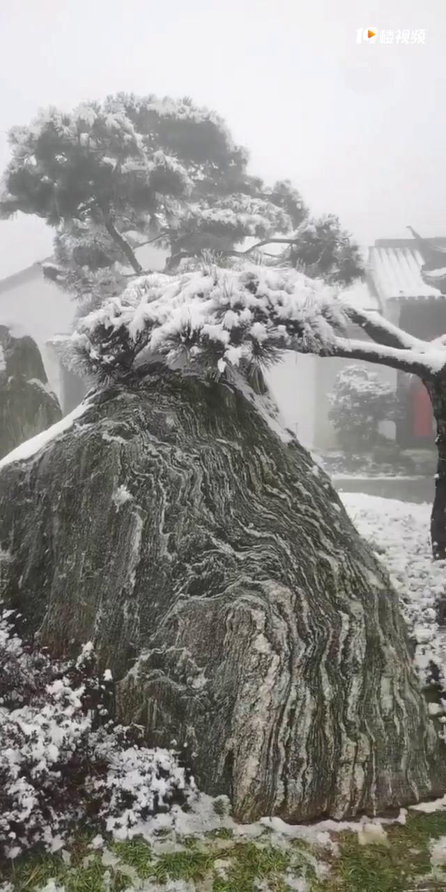 �ߣ�����Ů���ѣ�����һ��ѩȥ��