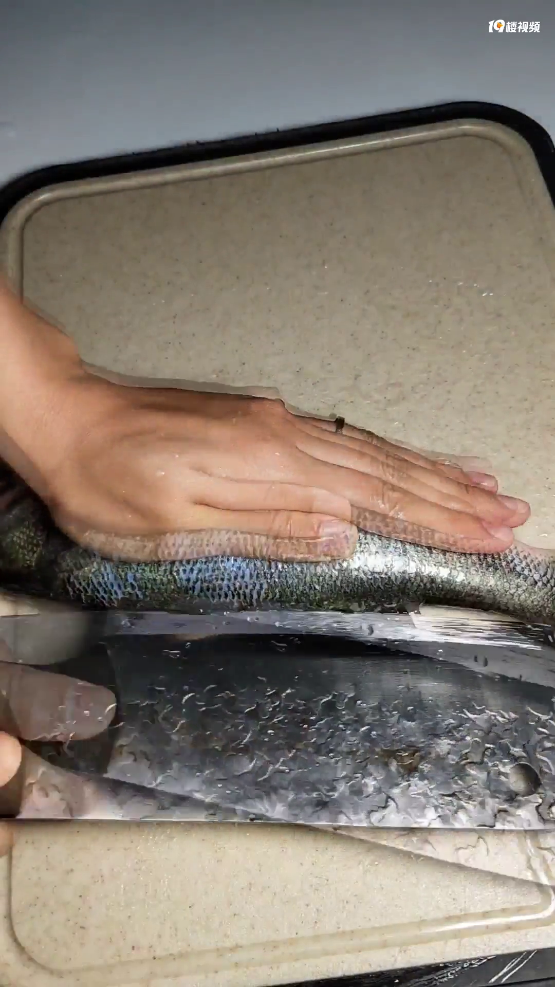 ���־ͻ�������������