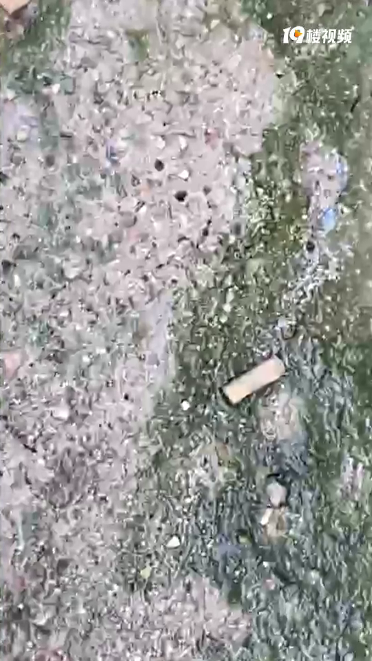 ���ϰ��Ҫ�´���ԭ�������