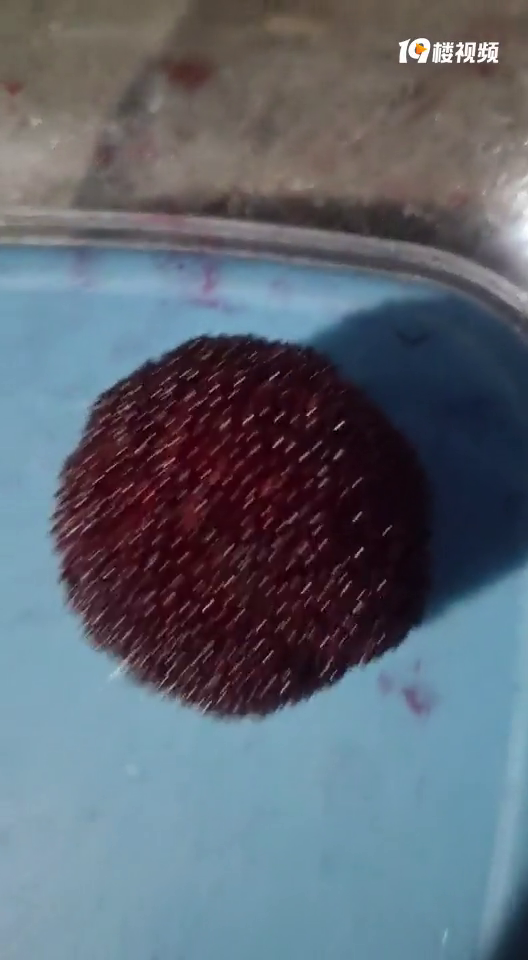 �ٺ�ĳ��ũ�ֵ���÷����󵥹��ؽ���70�ˡ�