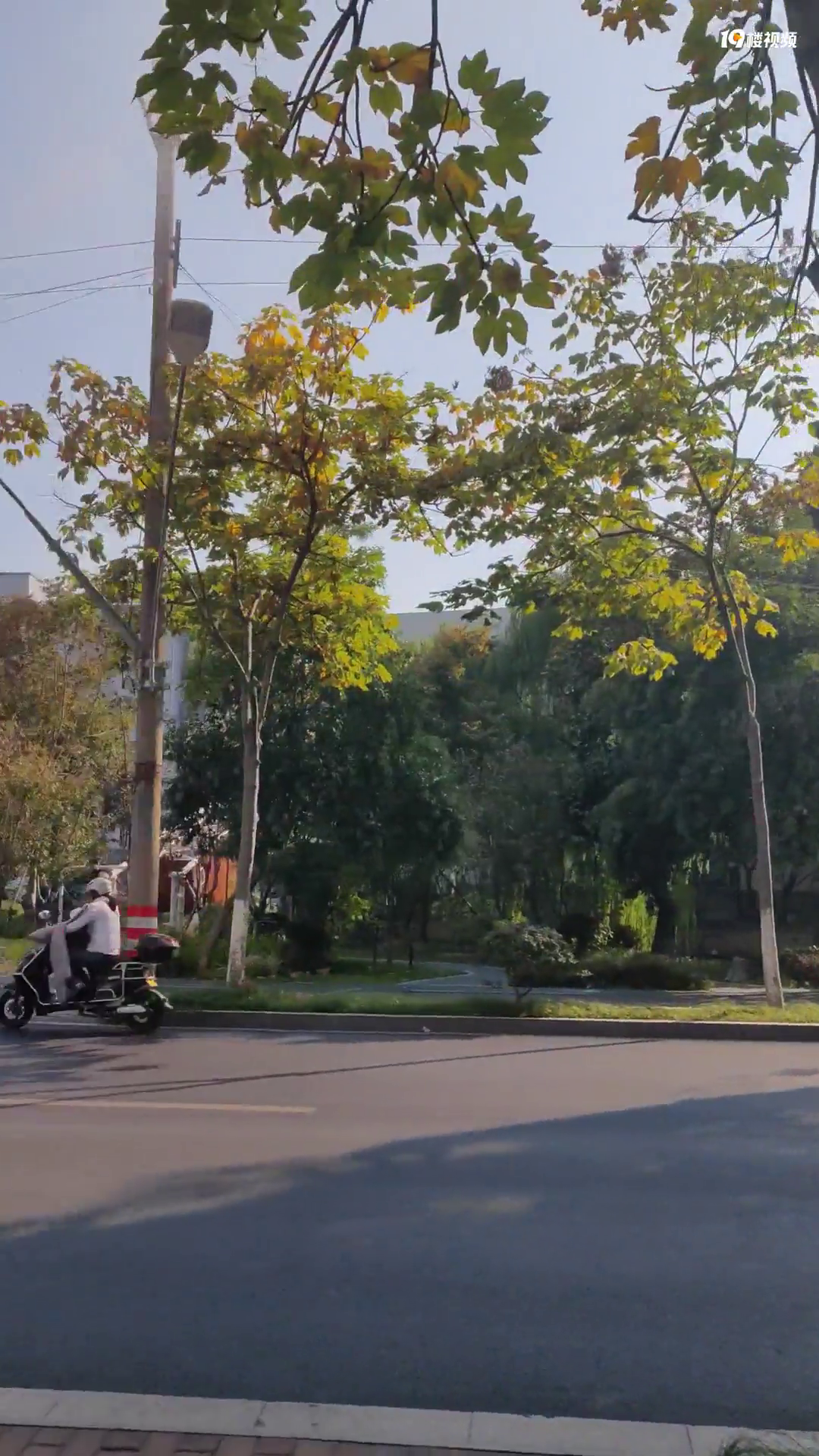 ��ôС��·����������������ĵ�ƿ��Ҳ̫̫̫���ˡ�