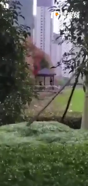 ƽ����Ҷ��԰һŮ���ϵ���������˵�Ǹ�40����İ��̡�