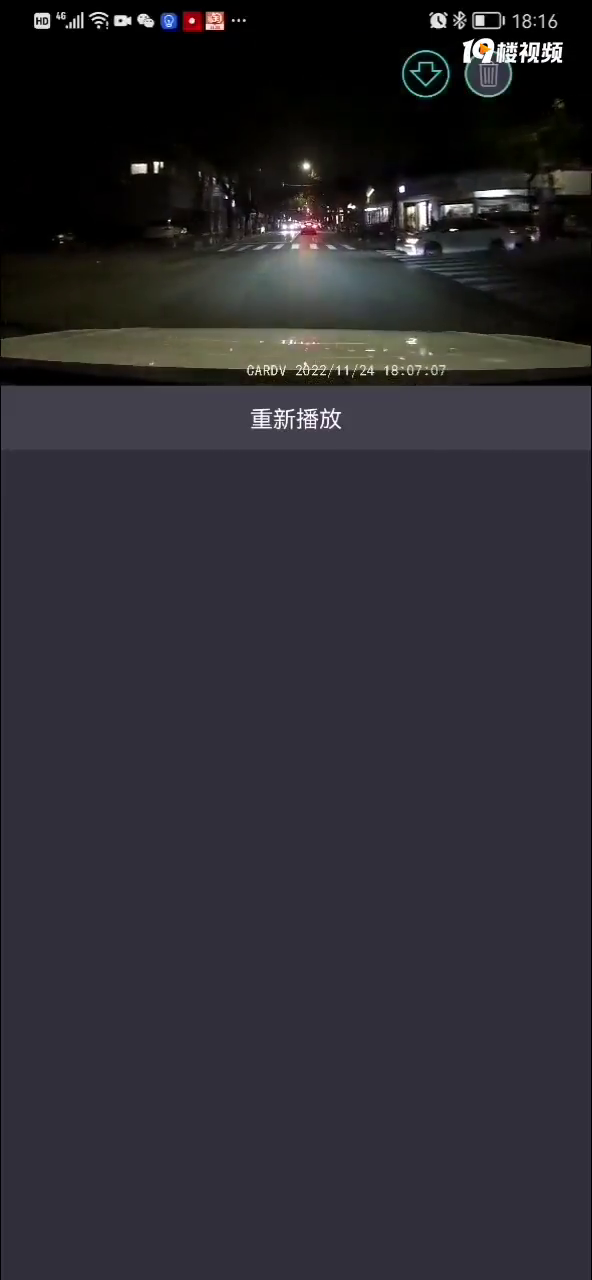 路上闪现小猫!