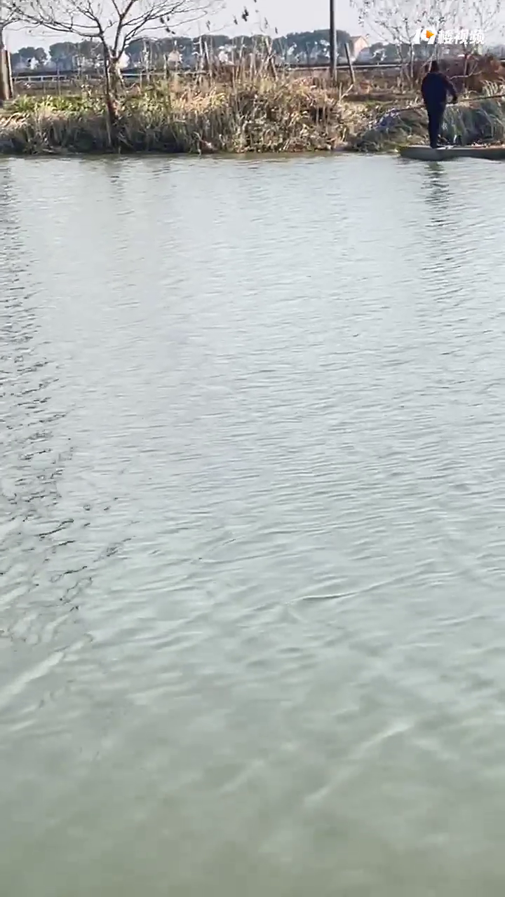 ���˵������ǵ紥�㣡��������ҲûɶЧ������